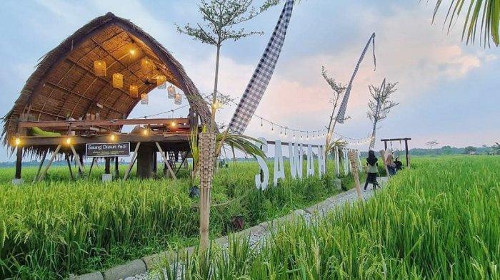 WISATA Sawah Lukis yang berada di Desa Cengkeh Turi, Binjai, Sumatera Utara.