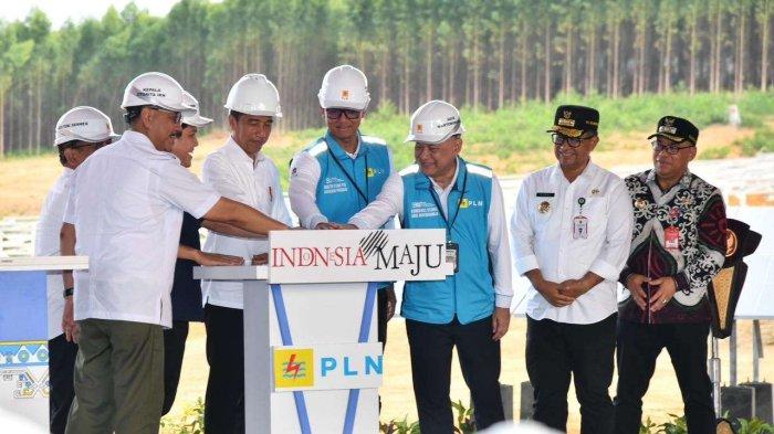 Hadirkan 100 persen Energi Bersih, Presiden Jokowi Groundbreaking Pembangunan PLTS PLN 50 MW di IKN Nusantara
