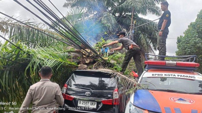 Petugas saat membersihkan pohon tumbang di Kota Padang, Selasa (20/8/2024).
