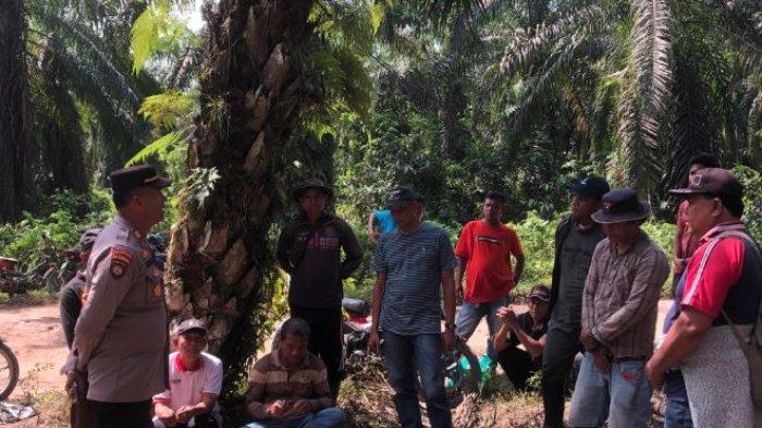 Kedua belah pihak saat dimediasi di lokasi kebun oleh Kapolsek Lembah Melintang dan Kapolsek Sungai Beremas.