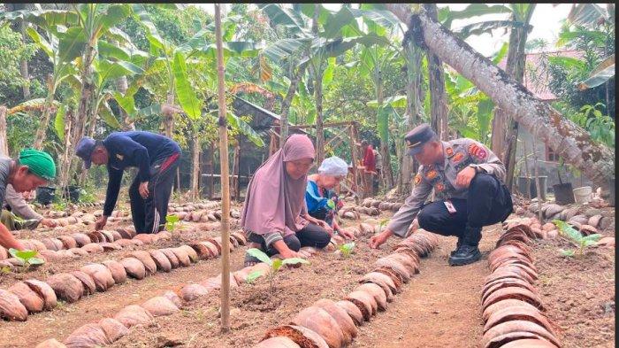 GIAT PERSIAPAN LOMBA - Kapolsek 2x11 Enam Lingkung bersama personel bersiap untuk KET citra bersama yang hendak mengikuti lomba perkarangan pangan bergizi yang akan dilangsungkan polda sumbar pekan depan. Kwt ini berhasil mewakili polres padang pariaman setelah mengalahkan kwt lainnya pada lomba tingkat polres.