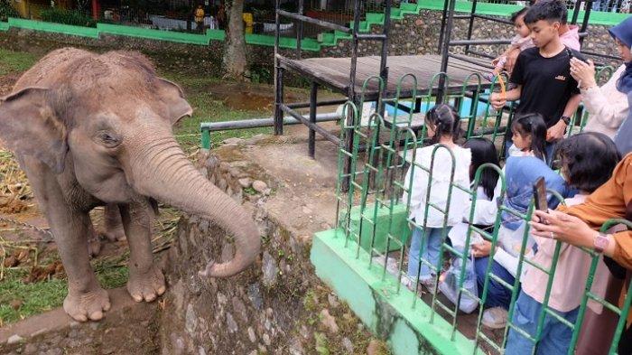 WISATA LIBUR LEBARAN : Kondisi TMSBK Bukittinggi yang ramai dikunjungi saat momen libur lebaran, Jumat (4/4/2025). Pemko Bukittinggi mencatat ratusan ribu wisatawan berkunjung ke objek wisata berbayar Kota Bukittinggi selama seminggu periode libur lebaran.