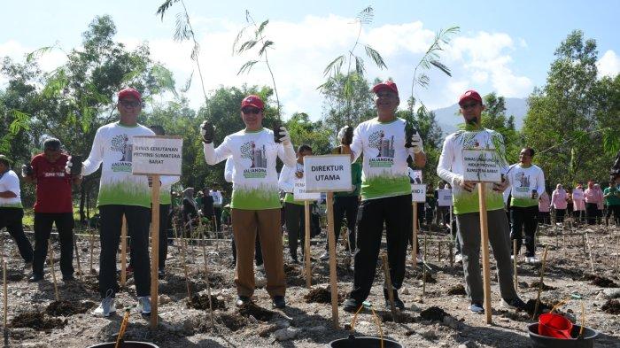 Direktur Utama PT Semen Padang Asri Mukhtar Dt Tumangguang Basa(dua dari kanan) bersama Direktur Operasi PT Semen Padang, Indrieffouny Indra (kiri) dan Kepala Dinas Kehutanan Provinsi Sumbar Yozawardi (dua dari kiri), serta Sekretaris Dinas Lingkungan Hidup Provinsi Sumbar Andi Irawan (kanan). Foto bersama saat acara penanaman bibit pohon kaliandra di kawasan Bukit Atas, PT Semen Padang, Selasa (28/11/2023). Penanaman bibit pohon kaliandra sebanyak 2000 batang itu digelar bertepatan dengan memperingati Hari Menanam Pohon Indonesia Tahun 2023.
