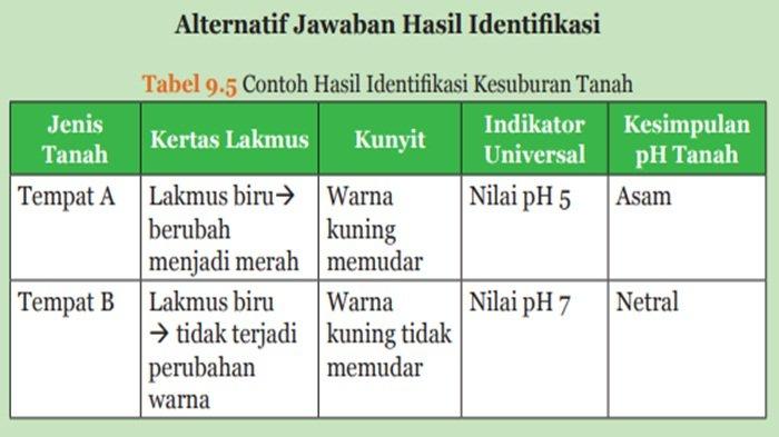 Contoh Hasil Identifikasi Kesuburan Tanah