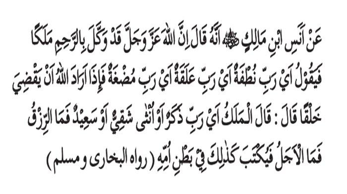 Dalil al-Qur’an tentang qada dan qadar