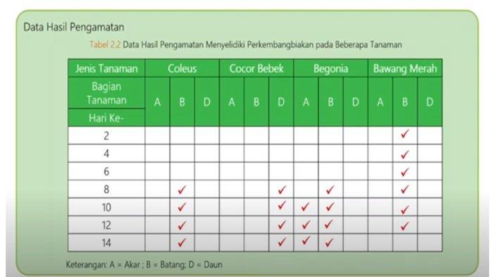 Data hasil pengamatan Aktivitas 2.1 IPA kelas 9 SMP halaman 60 Kurikulum 2013