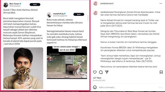 Inilah kontroversi Alshad Ahmad imbas 7 ekor anak harimau mati.