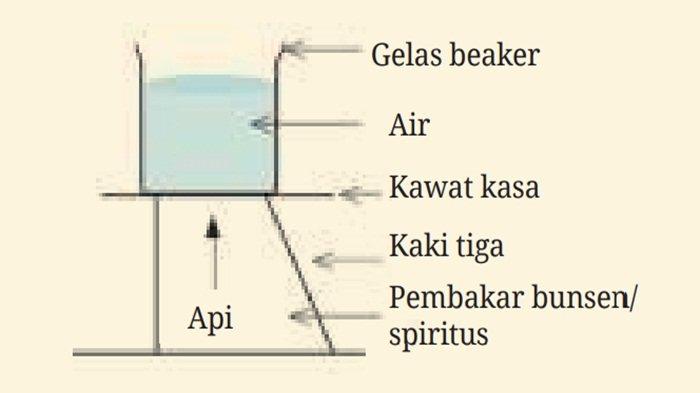 Jawaban soal nomor 4 IPA kelas 7 SMP halaman 13 Kurikulum Merdeka edisi revisi