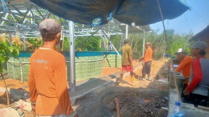 Kelompok Karya Mandiri Jaya, Desa Marta Jaya membangun rumah produksi maggot dan cacing sutra untuk pakan ikan, Senin (27/11/2023).