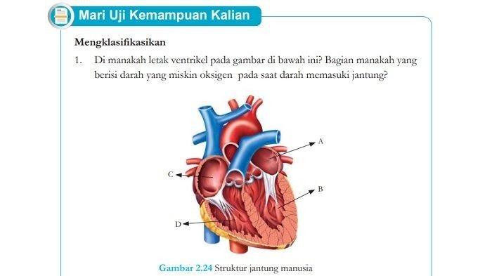 Kunci jawaban soal IPA kelas 8 SMP halaman 64 semester 1 Kurikulum Merdeka.