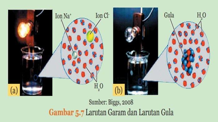 Larutan Garam dan Larutan Gula