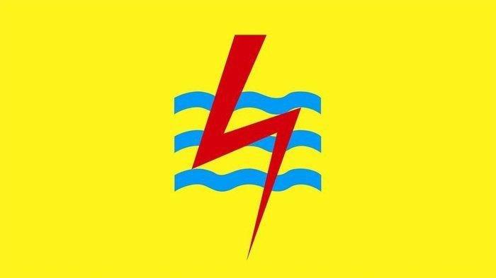 Logo PLN.