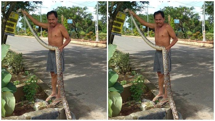 Yasmin, warga RT 15 Kelurahan Muara Rupit, Kecamatan Rupit, Muratara yang sudah 9 kali menangkap ular piton yang memangsa ayam peliharaannya.