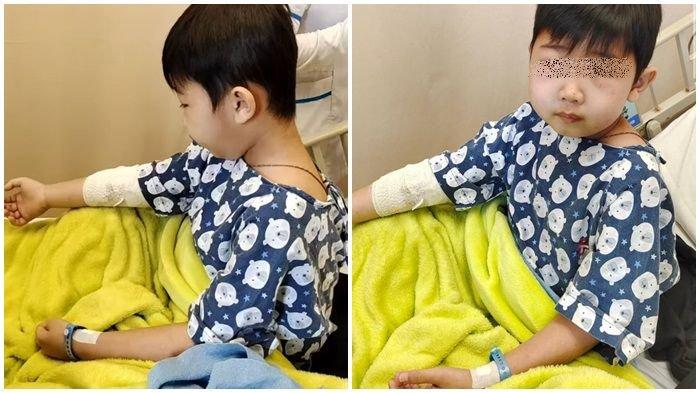 Perkembangan terbaru kondisi Giovin, penyebab penyakit Ginjal Bocor Protein.