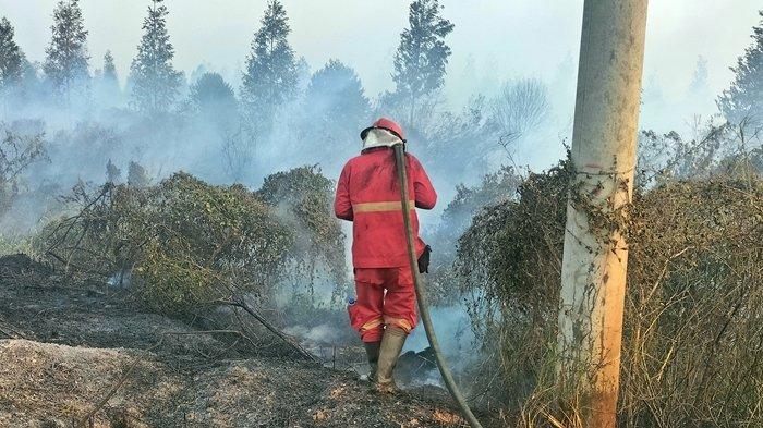 Petugas pemadam kebakaran berjibaku memadamkan kobaran api di lahan gambut yang berada di jalan sepucuk penghubung Kecamatan Kayuagung menuju Pedamaran Timur.