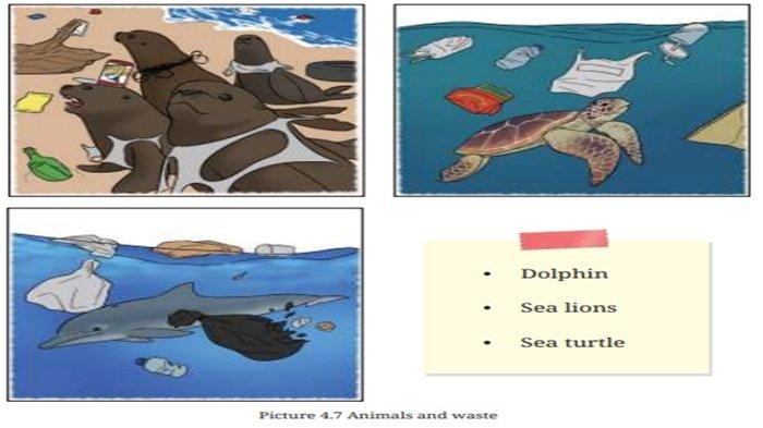 Picture 4.7 Animals and waste