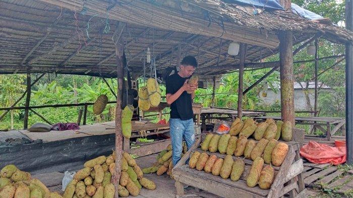 Rama (27), salah satu pedagang buah cempedak yang ada di jalan lintas timur (Jalintim) perbatasan Kabupaten OKI dan OI, Selasa (28/11/2023) pagi.
