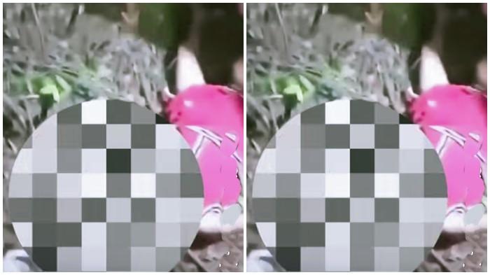 RANIA DITEMUKAN TEWAS - Rania Dwi Putri (6) ditemukan tewas di dalam area kebun karet di Desa Menang Raya Pedamaran.
