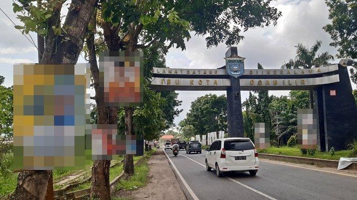 Sejumlah baliho terpasang di pohon pinggir Jalinsum Palembang-Indralaya wilayah Ogan Ilir, Rabu (3/1/2024).