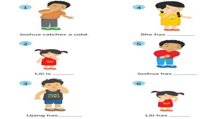 ILUSTRASI SOAL - Bahasa Inggris kelas 5 SD halaman 41 semester 1 Kurikulum Merdeka, Look and Write.