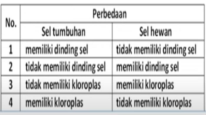 ILUSTRASI KUNCI JAWABAN - Foto ilustrasi tangkapan layar YouTube Jagat Edukasi. Soal no 10 PAT/SAT IPA kelas 7 SMP semester 2 Kurikulum Merdeka 2025, lengkap kunci jawaban