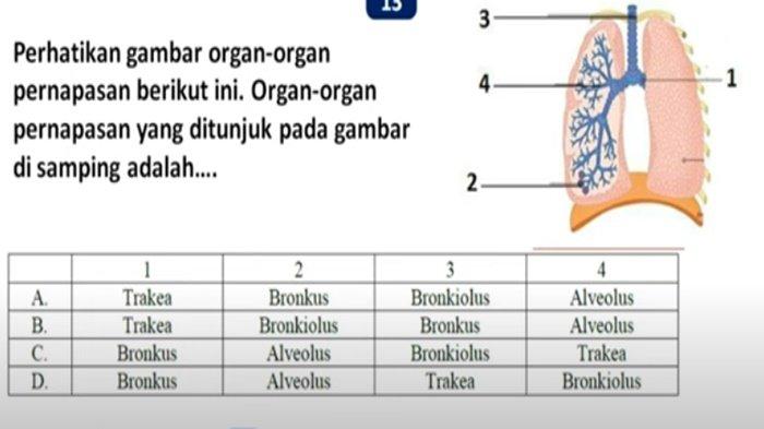 ILUSTRASI KUNCI JAWABAN - Foto ilustrasi tangkapan layar YouTube Jagat Edukasi. Soal no 13 PAT/SAT IPA kelas 8 SMP semester 2 Kurikulum Merdeka 2025, lengkap kunci jawaban