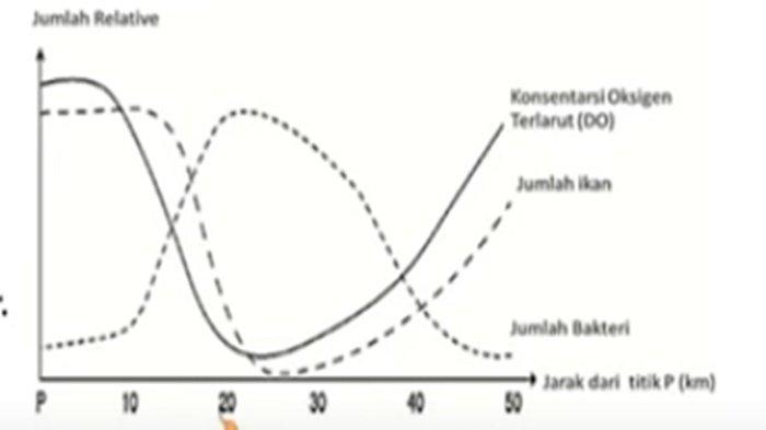 ILUSTRASI KUNCI JAWABAN - Foto ilustrasi tangkapan layar YouTube Jagat Edukasi. Soal no 3 PAT/SAT IPA kelas 7 SMP semester 2 Kurikulum Merdeka 2025, lengkap kunci jawaban