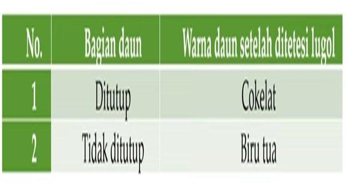 ILUSTRASI KUNCI JAWABAN - Foto ilustrasi tangkapan layar YouTube Mudah Belajar Official. Soal no 30 ujian sekolah IPA kelas 9 SMP semester 2 tahun 2025, lengkap kunci jawaban