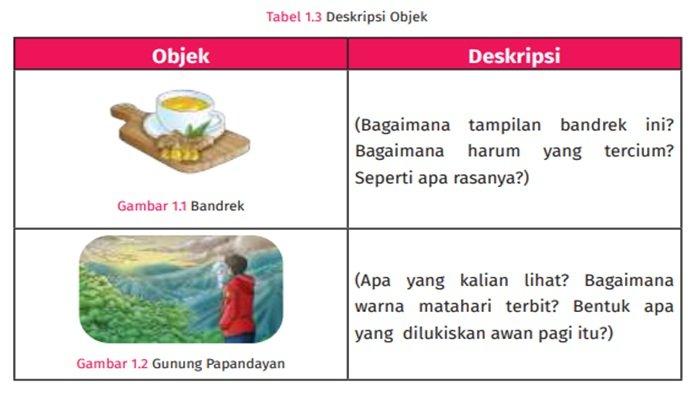 Tabel 1.3 Deskripsi Objek