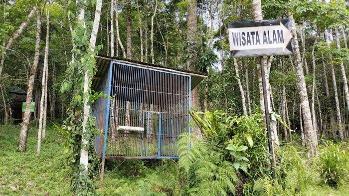 Sudah lebih dari 5-10 tahun tak lagi dioperasikan, fasilitas dan wahana permainan yang ada di Wisata Alam Bukit Cogong, Desa Sukakarya Kecamatan STL Ulu Terawas Kabupaten Mura mangkrak tak terawat. Tampak suasana lokasi Bukit Cogong, Sabtu (3/9/2022).