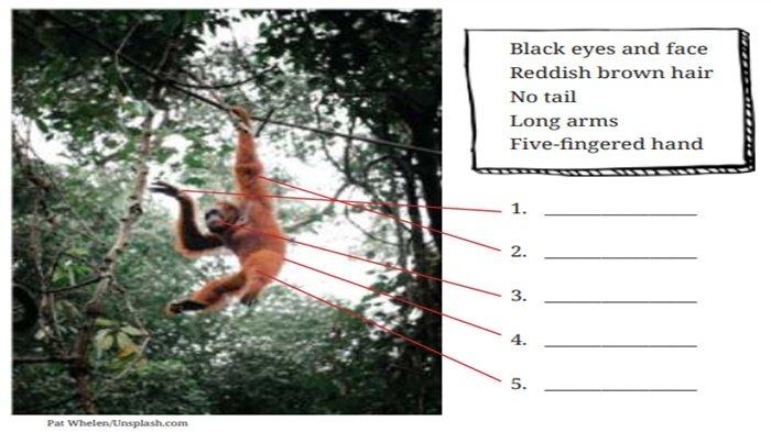 Worksheet 1.12, Bahasa Inggris kelas 9 SMP halaman 50-51 Kurikulum Merdeka
