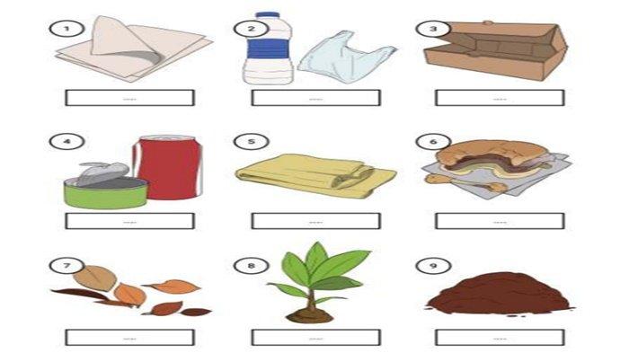 Worksheet 3.23 Bahasa Inggris kelas 7 SMP halaman 132 Kurikulum Merdeka, Section 2 – Reading.