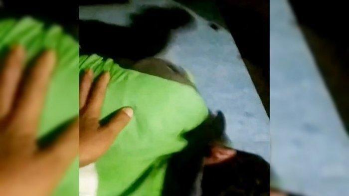 Sebuah video menayangkan driver ojek online (ojol) yang menangis diduga jadi korban begal beredar viral di media sosial.
