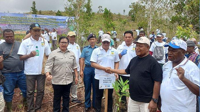 Pemerintah Provinsi Papua mengapresiasi PT Freeport Indonesia yang telah memberikan bantuan 10 ribu bibit bambu untuk ditanam dikawasan penyangga seluas 78 KM, Kamis (16/11/2023).