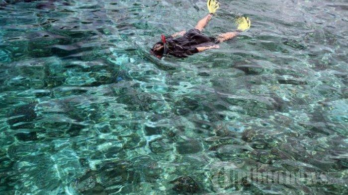 Sejumlah orang menikmati keindahan alam bawah laut di Kepulauan Padaido, Biak, Papua. Kamis (22/8/2013).