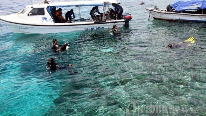 Sejumlah orang menikmati keindahan alam bawah laut di Kepulauan Padaido, Biak, Papua. Kamis (22/8/2013).