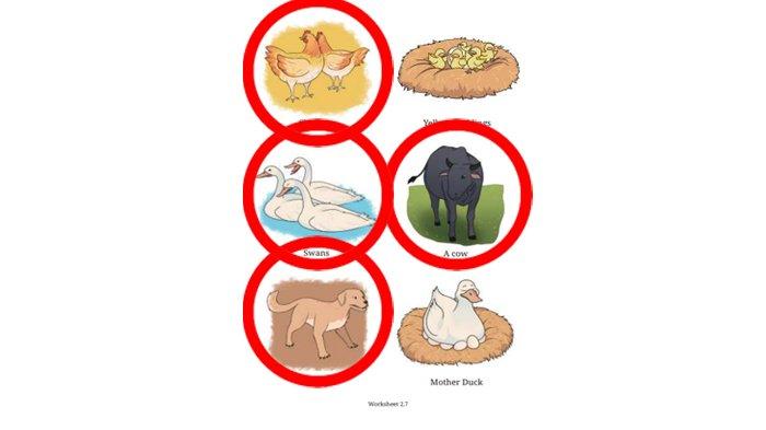 ILUSTRASI KUNCI JAWABAN : Kunci Jawaban Bahasa Inggris Kelas 8 Halaman 88 89 Section 2 - Viewing Circle Other Four Animals