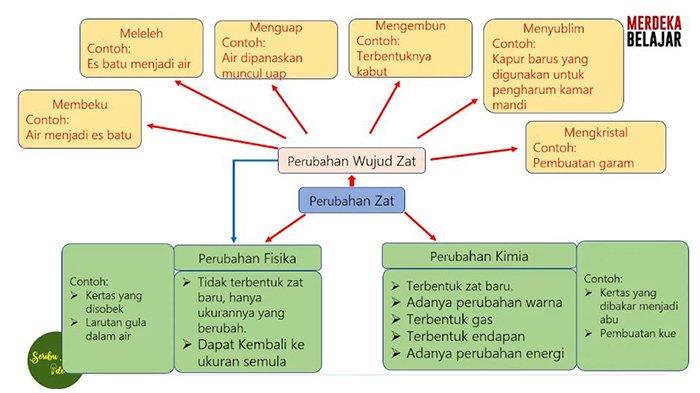 Kunci Jawaban IPA Kelas 7 Halaman 67 Kurikulum Merdeka