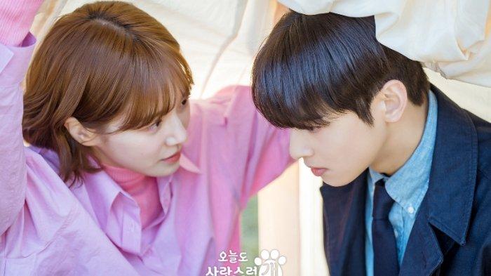 Nonton drama korea A Good Day to Be A Dog sub indo yang tayang di VIU.