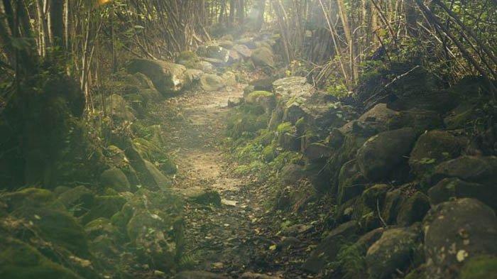 Temuan Mayat di hutan di Sawah Lunto