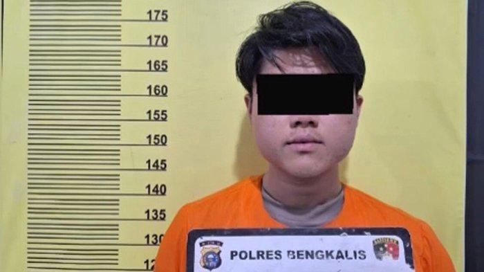 Karyawan perusahaan sawit di Riau berinisial RH (22) yang memakaikan bendera merah putih ke leher anjing, terancam hukuman 5 tahun penjara dan denda paling banyak Rp500 juta.