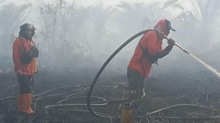 Anggota BPBD Kabupaten Mempawah melakukan pemadaman Karhutla di Parit Lurah Kecamatan Segedong, Rabu 4 Oktober 2023.