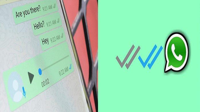 Cara matikan centang biru WhatsApp