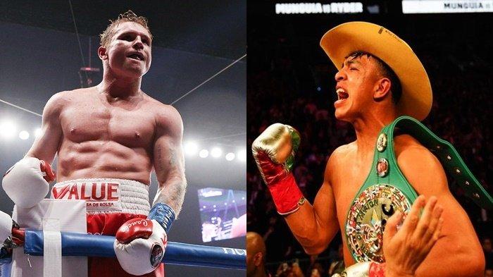 Kolase Tinju Dunia Canelo Alvarez dan Jaime Munguia.