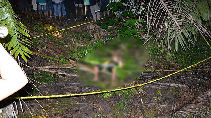 Korban dugaan pembunuhan yang terjadi di jalan PTPN XIII, Dusun Damai, Desa Tanap, Kecamatan Kembayan, Kabupaten Sanggau, Kalimantan Barat, Jumat 1 Desember 2023.