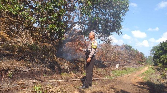 Bhabinkmtibmas Polsek Singkawang Utara melaksaakan monitoring dalam rangka antisipasi titik api / titik asap pada lokasi rawan Karhutla di Wilayah Kecamatan Singkawang Utara, Sabtu 26 Agustus 2023.