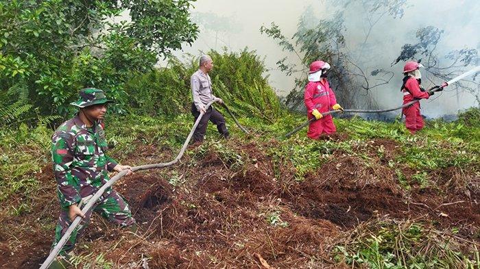Tim Gabungan saat memadamkan Karhutla di kelurahan Setapuk Kecil Kecamatan Singkawang Utara, Kota Singkawang, Kalimantan Barat, Selasa 15 Agustus 2023.