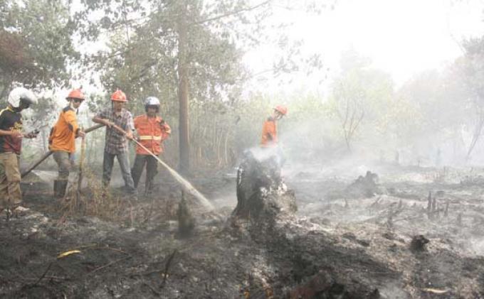 Sejumlah pemadam kebakaran memadamkan api bersumber dari lahan gambut di dekat pemukiman warga, Jl Parit Haji Husein II, Pontianak, Kamis (5/2/2014).