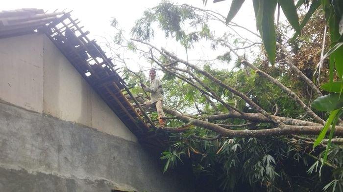 DAMPAK ANGIN KENCANG - Kondisi beberapa rumah warga di Desa Karangmulya Kecamatan Padaherang Kabupaten Pangandaran yang tertimpa pohon akibat angin kencang, Rabu (12/3/2025).