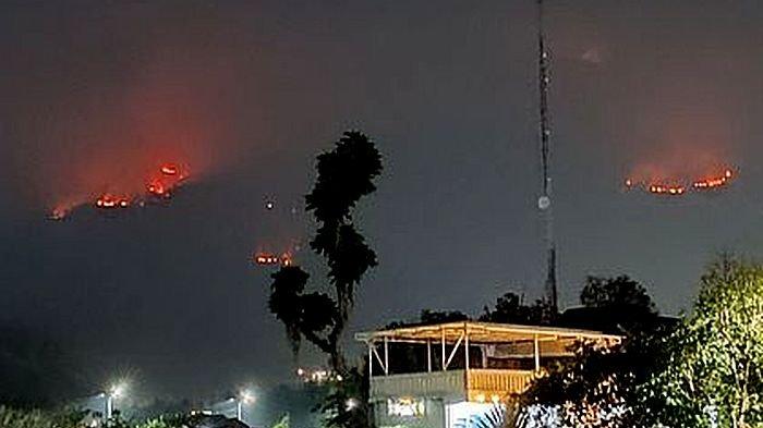 Gunung Guntur di Kabupaten Garut, Jawa Barat alami kebakaran, titik api terpantau di sejumlah titik, Selasa (20/8/2024).